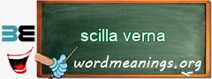 WordMeaning blackboard for scilla verna